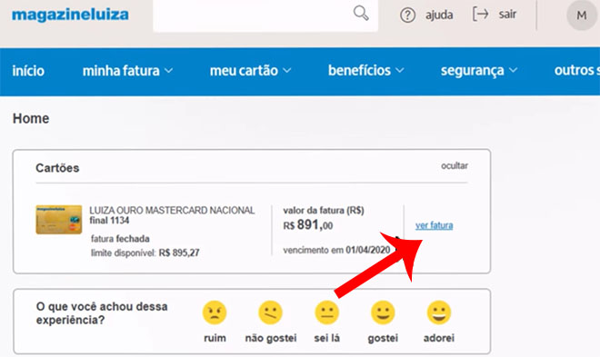 como emitir 2ª via fatura cartão magazine luiza pelo site